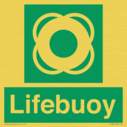 lifebuoy-with-symbol~
